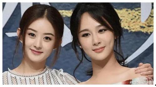 天涯爆料杨紫黑历史视频,那些被遗忘的黑历史瞬间 第3张 天涯爆料杨紫黑历史视频,那些被遗忘的黑历史瞬间 第3张